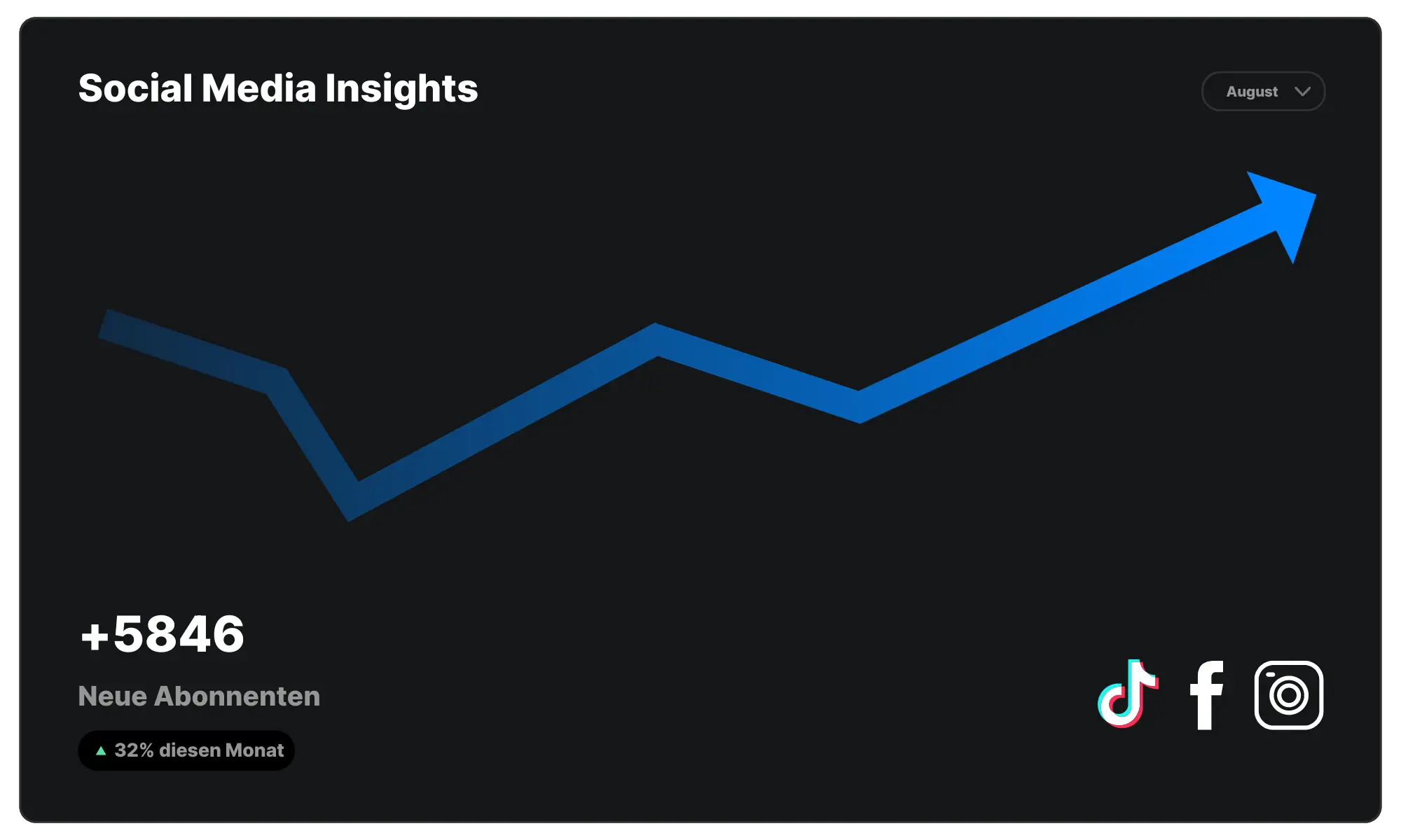 Social Media Ads Leistungen - Insights Dashboard